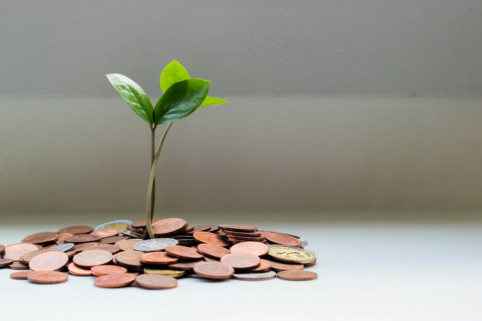 Les 3 assurances essentielles pour protéger votre investissement immobilier