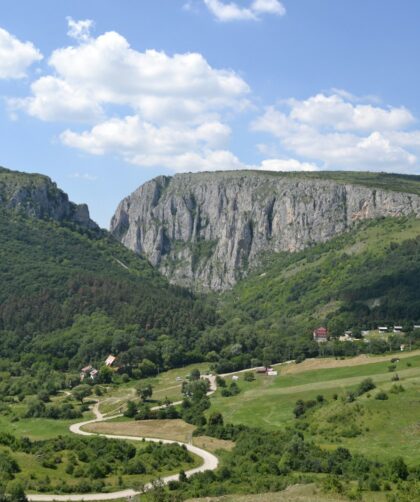 a scenic view of a valley with a mountain in the background