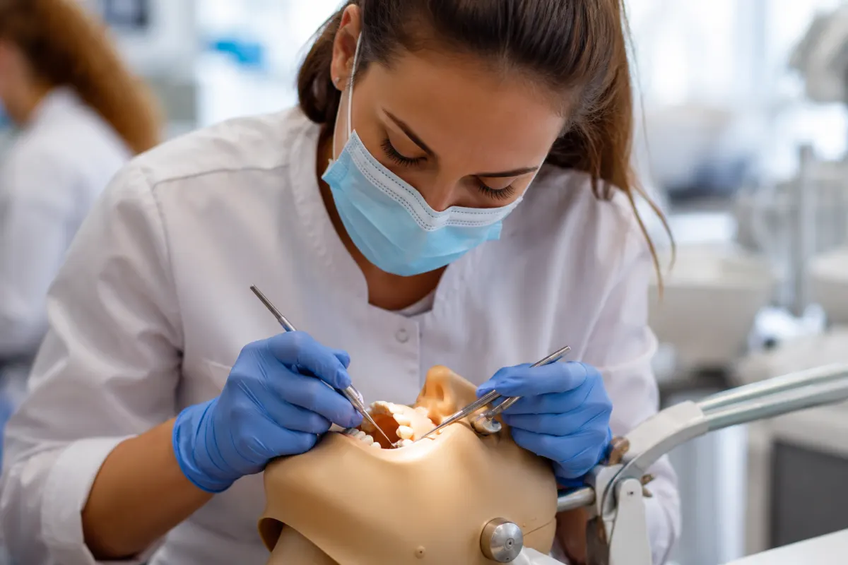 Étudiant en dentaire examinant un modèle de mâchoire en plâtre sur son bureau de laboratoire